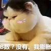 憨宝哥头像