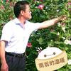 岁月头像