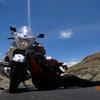午夜狂奔头像