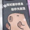 云上柠檬草头像