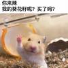 小鼠动物园头像