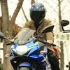 柳小北vlog头像