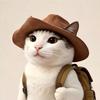 哲学的猫头像