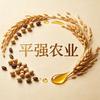 平强“现代农业”头像