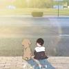 一颗松茸.头像