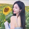 七海小宇漫舍bilibili C1头像