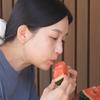 歪果寒酸鸽头像