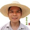 农村小周头像