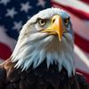 环球视界头像