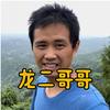 龙二哥哥头像