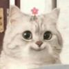 粉色小猫酱头像