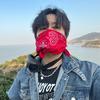 不会压弯的 老王头像