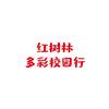 红树林多彩校园行头像