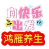 鸿雁（爱表演）头像