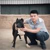 萌犬旺旺之家（阿龙）头像