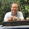 墨海之舟头像