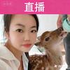 小姨子养鹿头像