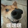 地道淮海人头像