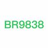 BR9838头像