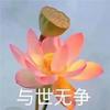 花开富贵纪录片头像