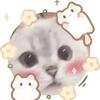 sky益生菌头像