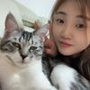 高七言头像