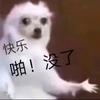 笔尖下的修行头像