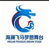 海澜飞马水城抖音演唱会音乐直播视频头像