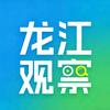 龙江小妖怪🕊️头像