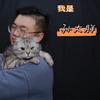 我是孙大胖头像