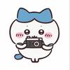 铁蛋（元梦之星）头像