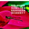 Number one明灯头像