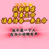 王大憨💫为小动物发声头像