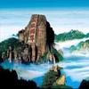 田地文化头像