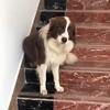 残生头像