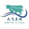 大飞养殖头像