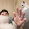 科技阁头像