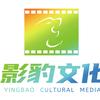 影豹文化头像