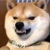 隔壁吴老二头像