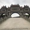 天使天令头像