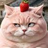 小草莓🍓头像