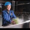 制茶人张万祥头像