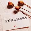 阴谋大本营（晚18点与21点开播）头像