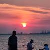 方糖家🔅头像