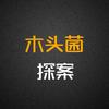 木头菌探案头像