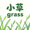 小草头像