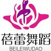 霍山蓓蕾舞蹈官方号头像