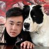 巴克猛犬园（赵老板）头像