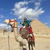埃及地接娜娜🇪🇬头像