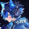 小刘宝头像